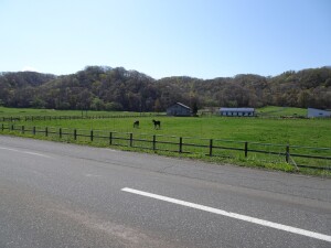 3日目　いたるところに牧場があります